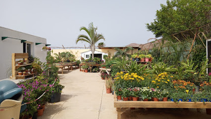 Tahiche Garden Lanzarote