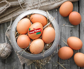 Granja Valleval Distribuidor de huevos al por mayor