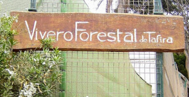 Vivero Forestal de Tafira