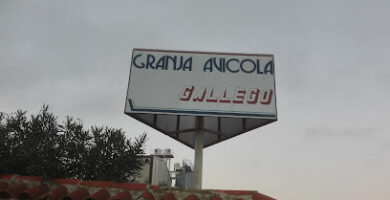 Granja Avicola Gallegos