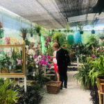 Vivero El Jardín de las Orquídeas Málaga